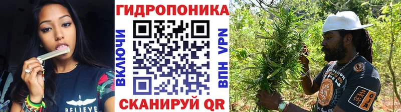 дарнет шоп  Тюкалинск  Марихуана конопля 